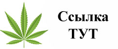 Купить наркотики в Горно-Алтайске